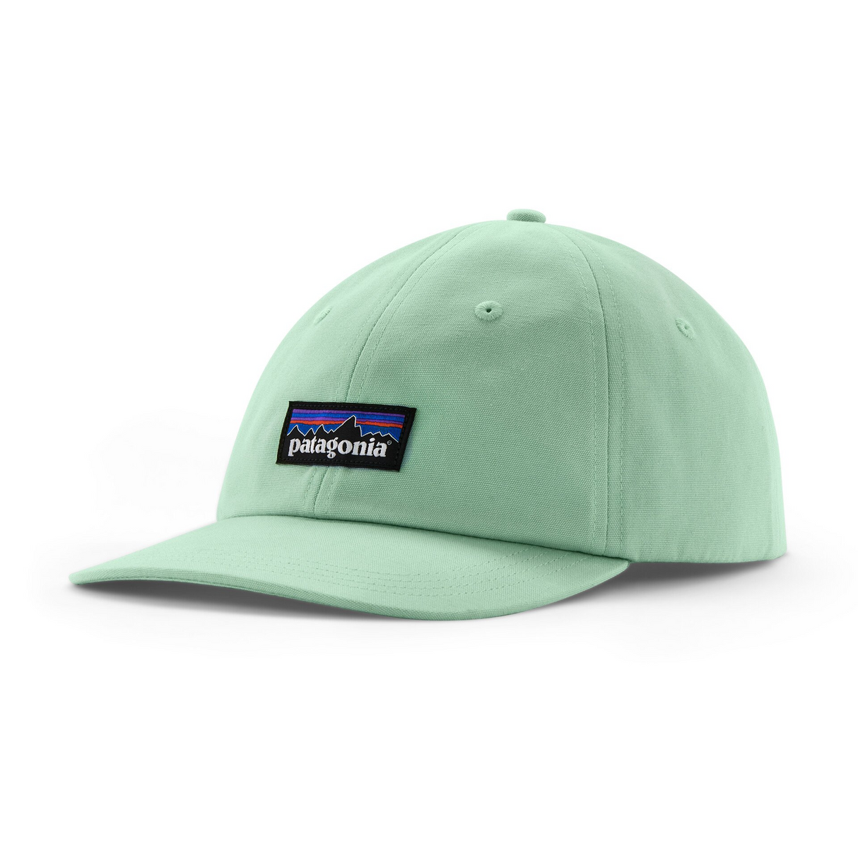 Patagonia P-6 Label Trad Cap - Rinsed Green