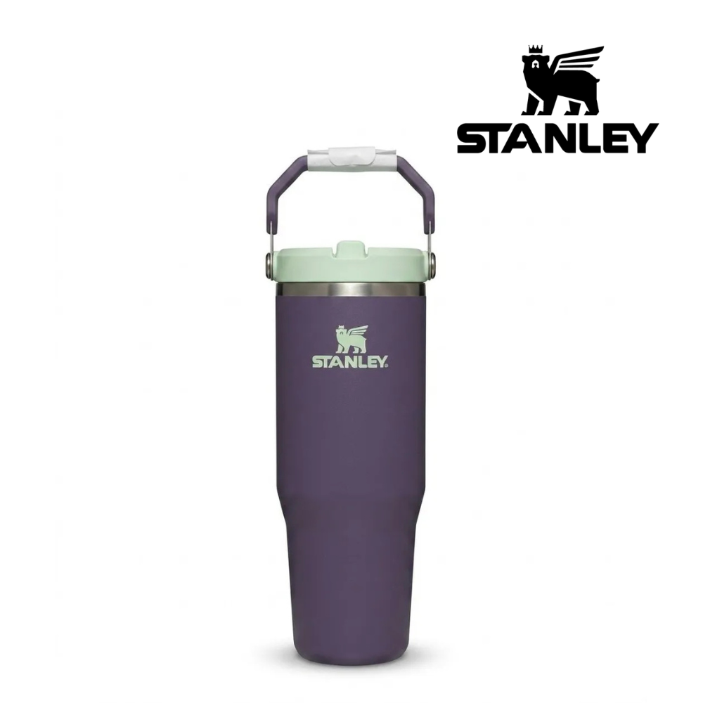 Explore Stanley The IceFlow™ Flip Straw Tumbler 30 Oz - Purple Umbra for trail, outdoor & lifestyle use | Liv Activ Singapore