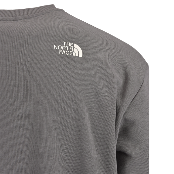 The North Face Men Essential Sweatshirt - AP Smoked Pearl