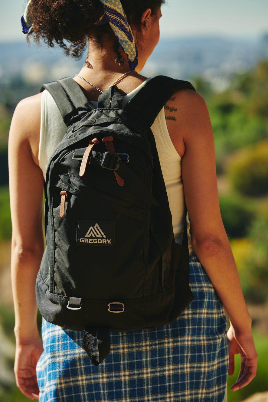 Gregory Fine Day V2 Backpack