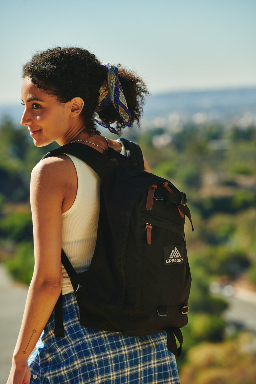 Gregory Fine Day V2 Backpack