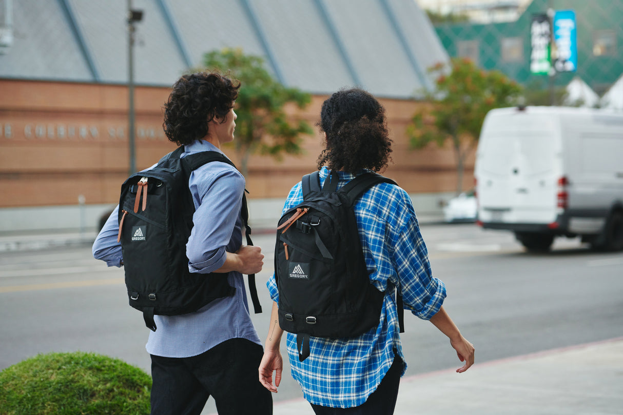 Gregory Fine Day V2 Backpack