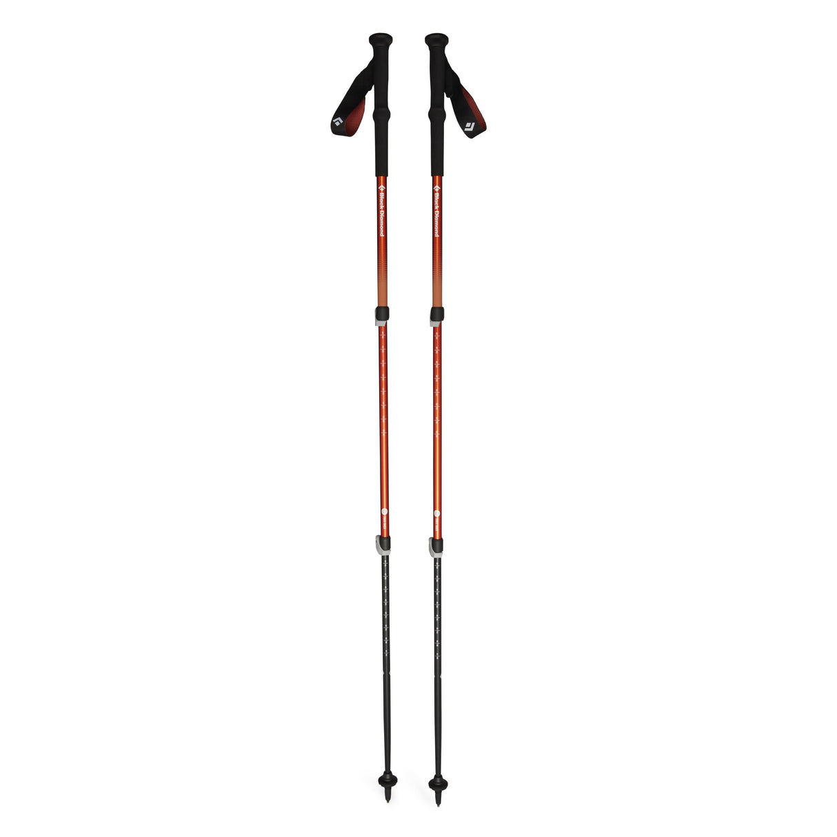Explore Black Diamond Trail Back Trekking Poles - Burnt Sienna for trail, outdoor & lifestyle use | Liv Activ Singapore