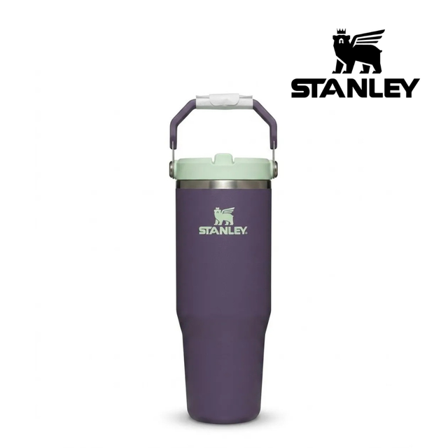 Explore Stanley The IceFlow™ Flip Straw Tumbler 30 Oz - Purple Umbra for trail, outdoor & lifestyle use | Liv Activ Singapore
