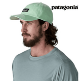 Patagonia P-6 Label Trad Cap - Rinsed Green