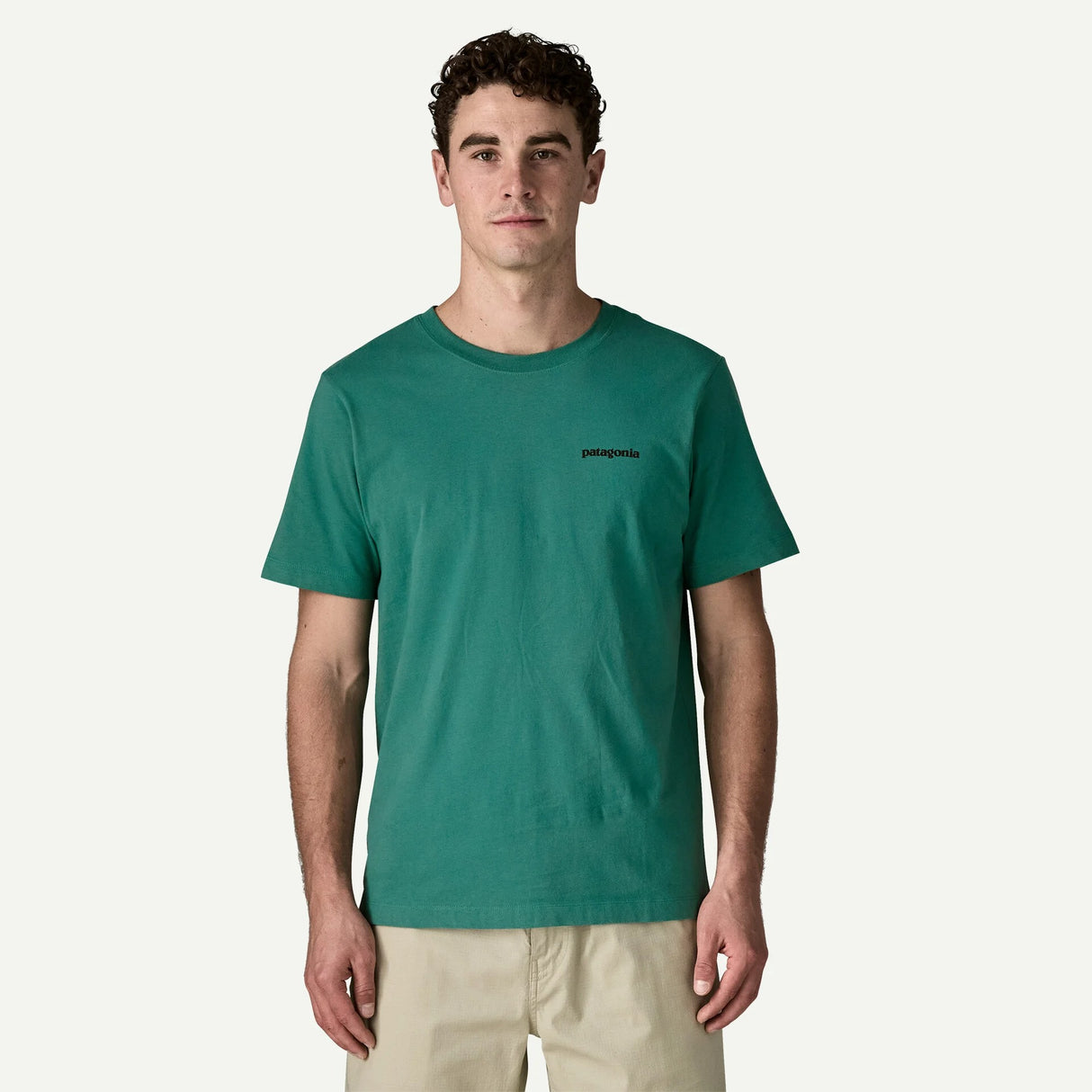 Explore Patagonia Men P-6 Logo T-Shirt - Gem Green for trail, outdoor & lifestyle use | Liv Activ Singapore