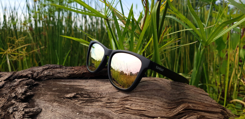 Shop Sunday Shades Polarised Sports Sunglasses at Liv Activ Singapore - Comfort and Performance for Sunny Outdoor Explorations. Classic, Tempo, Surge, Flare, Cockpit Series